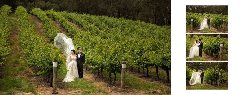 Perth-Swan-Valley-Prewedding-02